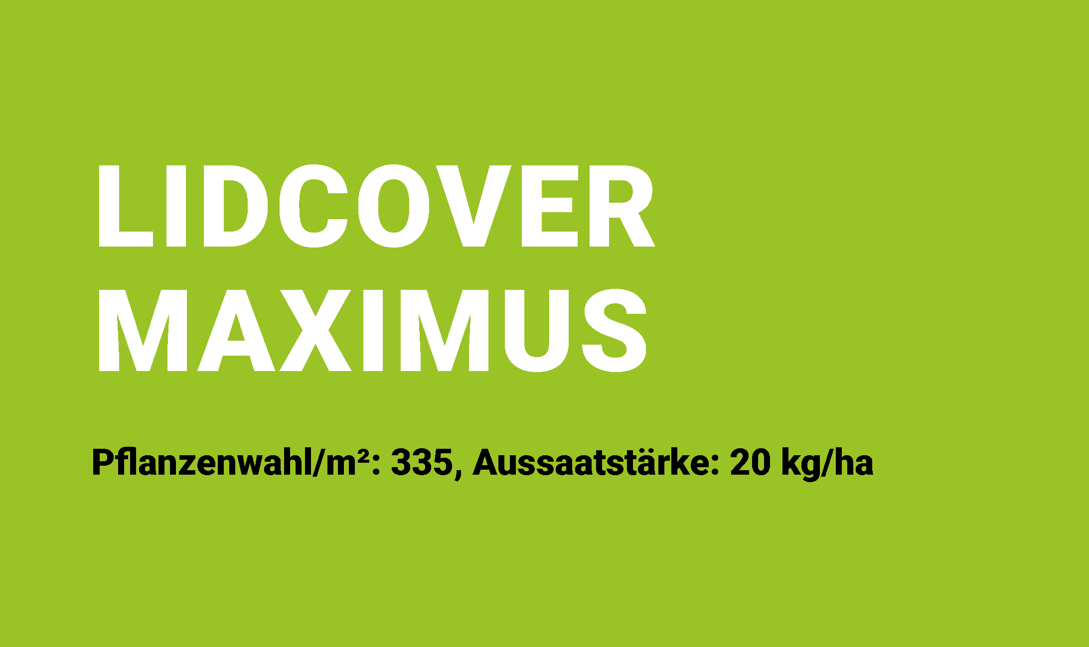 lidcover-maximus-kaestchen-26